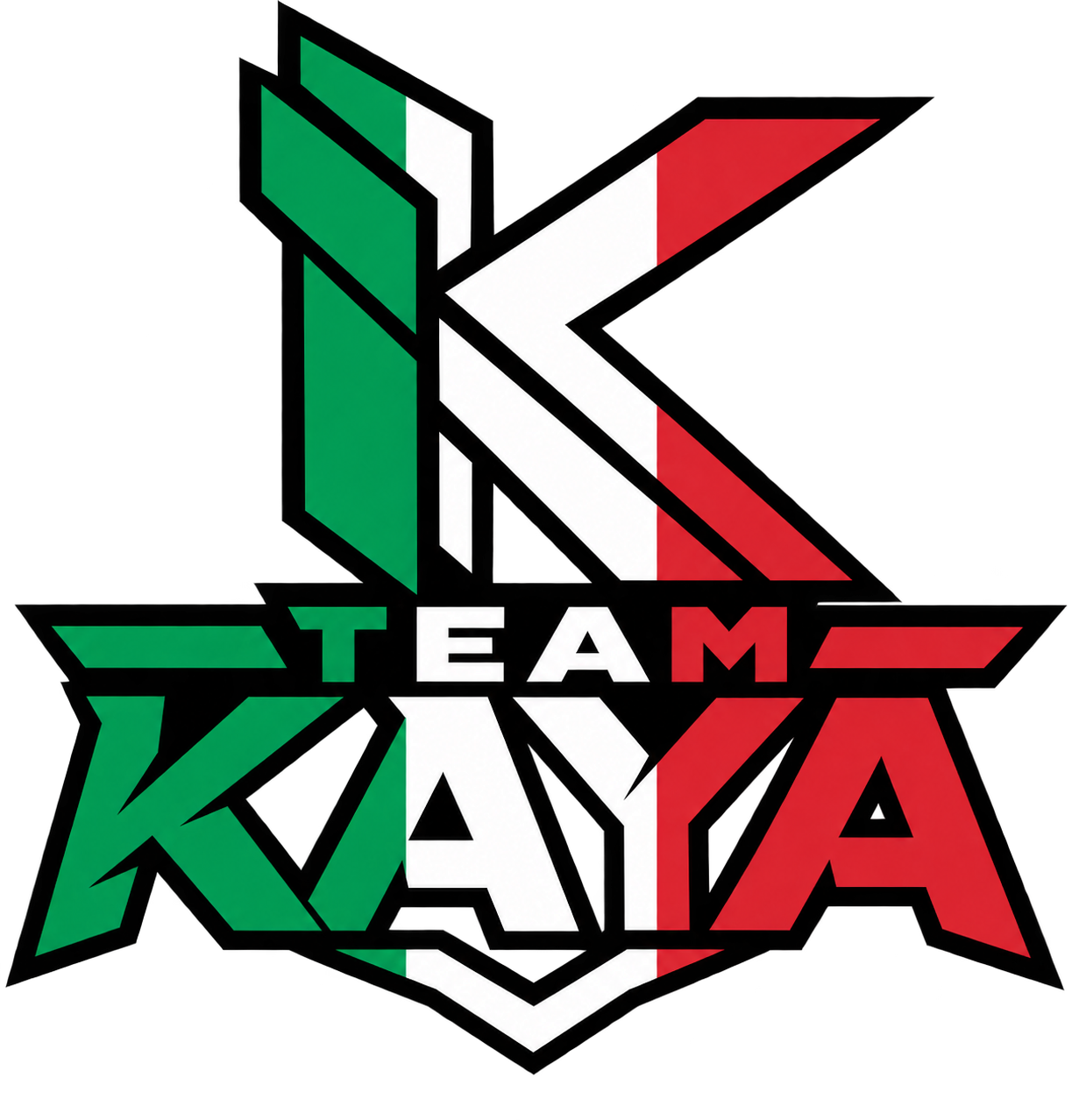 Team Kaya logo