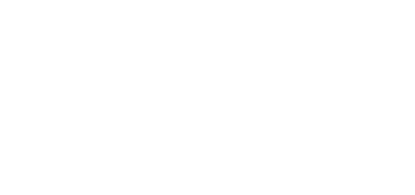 Logic Jiu Jitsu logo