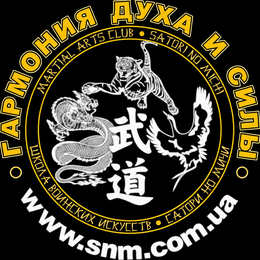 Satori logo